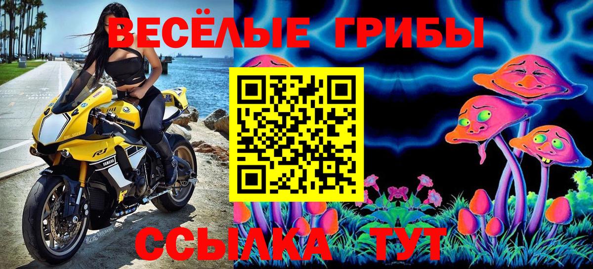 Галлюциногенные грибы MAGIC MUSHROOMS  Вход с VPN  Вольск 